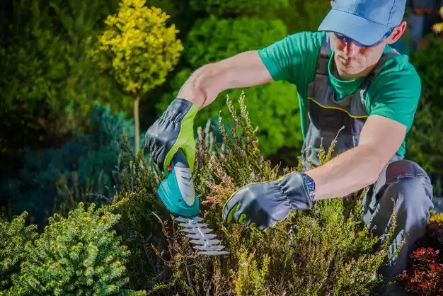 landscaping services Boyne City